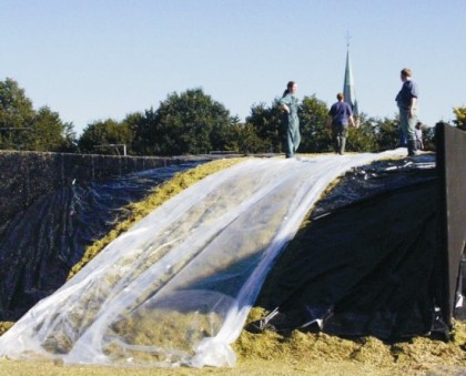 Mikroten 16 x 50 m (40 &micro;m)