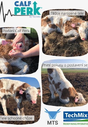 Calf Perk (15 ml) kofeinov&aacute; pasta pro tele